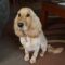 DavidandGlenys Wright Avatar